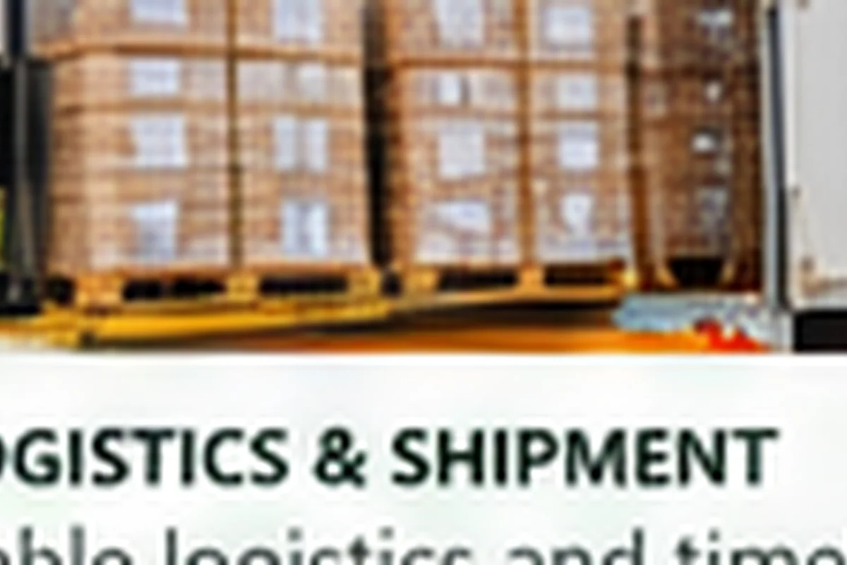 Palletized export cartons prepared for freight shipment